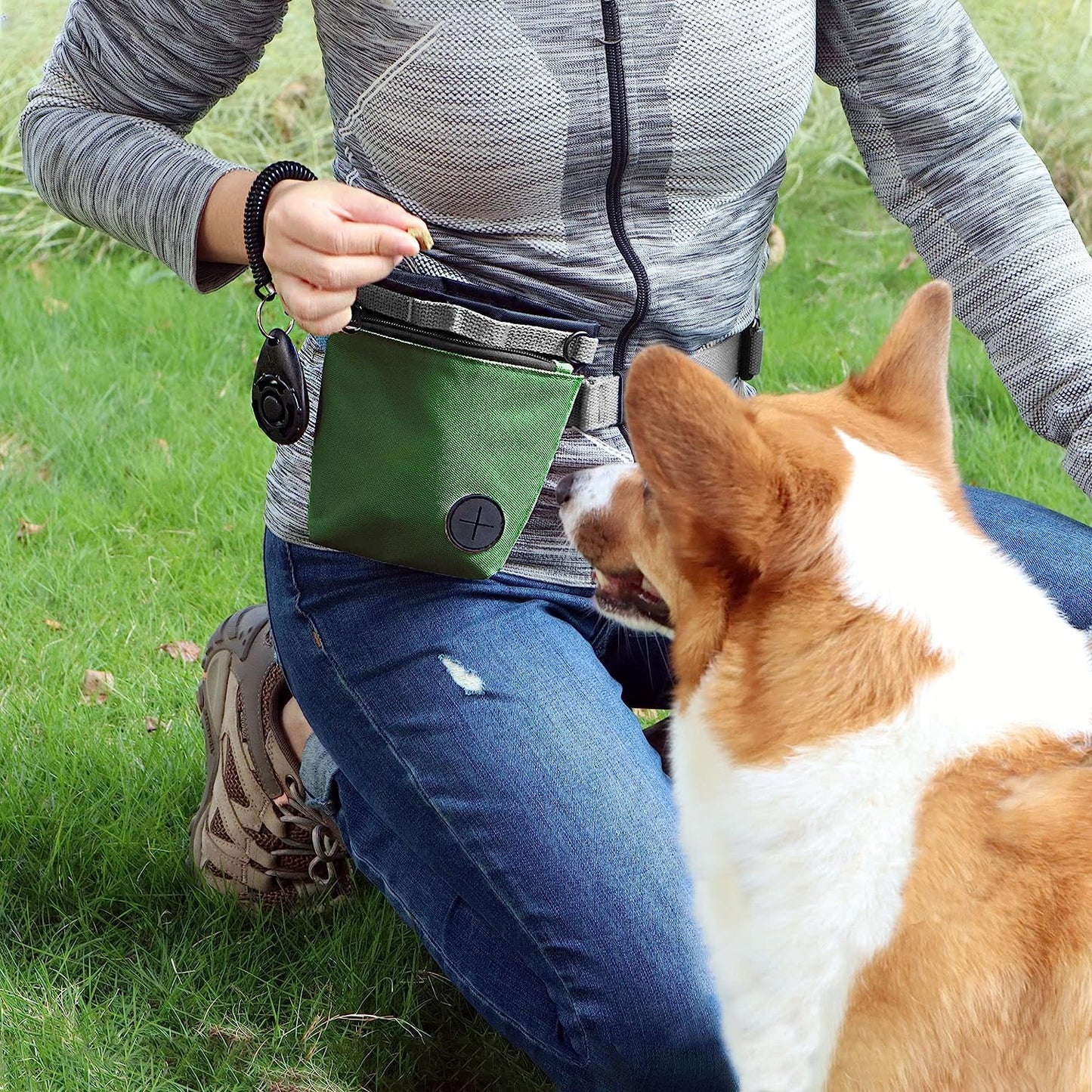 KATOZOO Treat Pouch with Pet Training Clicker (Green)